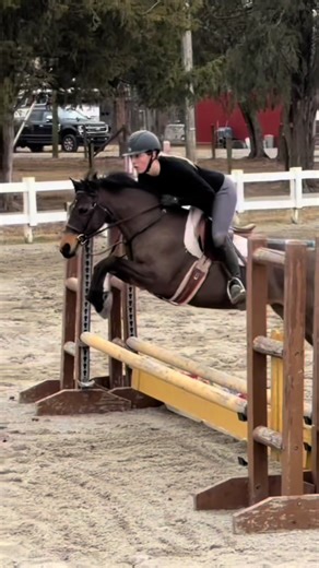 The Best Pony Ever: Discover Amazing Facts