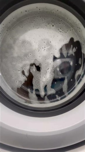 Wascomat W630cc mini sudslock