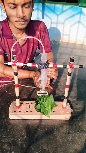 DIY Hydraulic Cutter Experiment 🔥 | Simple Science Project