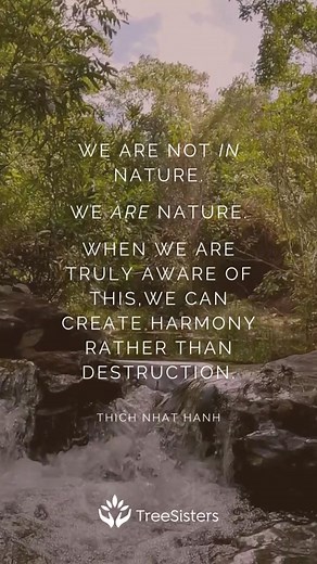 Reconnection is the missing piece that links many of the challenges and crises we face. Only by remembering that we belong to the Earth can we begin to live differently and build a future that is truly better and more sustainable for all the species that call this planet home. treesisters.org #treesisters #natureconnection #reconnect #nature #remembering | TreeSisters