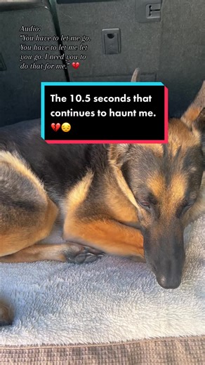 Heartbreaking Video of Last Moments with Beloved Pet