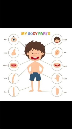 Human Body Parts List with Names | Easy Learning for Everyone #BodyParts #LearnBodyParts #HumanBody
