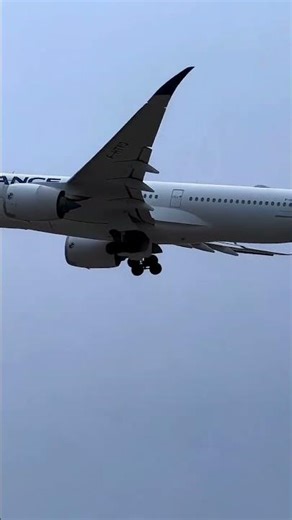 Airplane Takeoff & Landing | Plane Spotting at the Best Aviation Spot | Beauty of Jet Engines