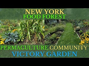 AMAZING New York Permaculture Community Garden Starting a Food Forest!
