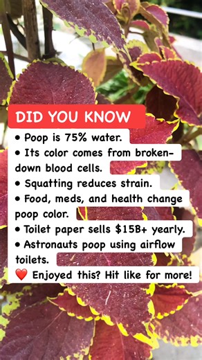 27K views · 45 reactions |  Weird Facts About Poop You Didn’t Expect  #BodyFacts #UnusualTruths #CrazyScience | Sagor Gaming | Facebook