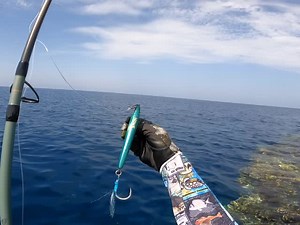 8.1K reactions · 57 shares | Casting the lure, fighting hard, and landing that perfect catch  Rod : Höwk bullfighter 170 @howkfishing Lure : Höwk TunaStick 150 @howkfishing Hook’s BKK Raptor-Z 0/3 @bkk_arabia Apparel : @stafuproseries With: @islam_sellim #fishing #pescaria #nature #naturephotography #naturelover #sea #sealife | Mohssine Fishing | Facebook