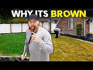 Stop Doing This to Your Lawn Every Spring (You're Killing It)