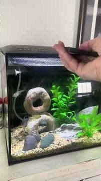 Honest Reviews! Fluval Modern Fish Tank | Beautiful Aquarium Setup for Home Decor.