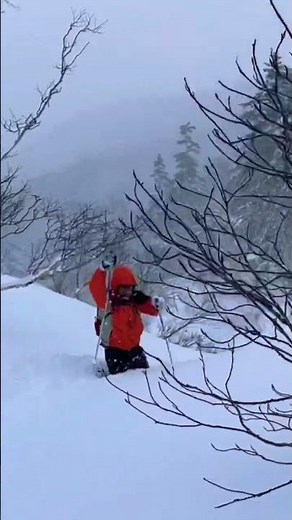 大雪山　黒岳カムイの森スノーシューハイキング