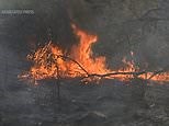 7,200 acre Bond Fire started as a residential home fire
