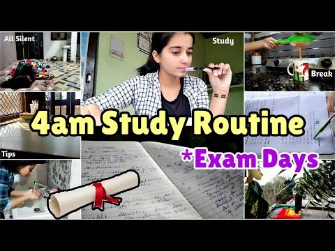 4am STUDY Routine For Exams #school #exam