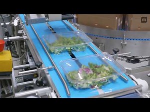 MULTIVAC Traysealing Packaging Line Solution for Leafy Vegetables