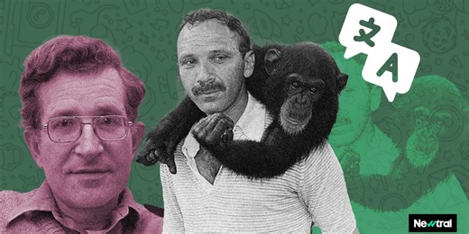 Proyecto Nim: el mono hablador que parecía desafiar a Noam Chomsky