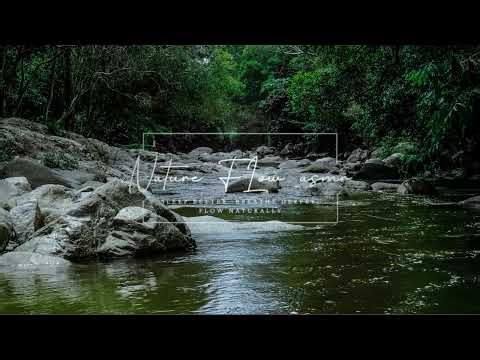 Relaxing River Stream in Deep Woods – Flowing Water White Noise for Sleep, Meditation & Serenity