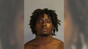 Police bodycam video shows man being thrown over bridge