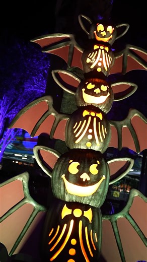 From family fall trips and Halloween to Thanksgiving and Christmas, Valdosta knows how to celebrate! Pair the season’s biggest traditions with local happenings that bring extra cheer and make every visit one to remember! | Visit Valdosta