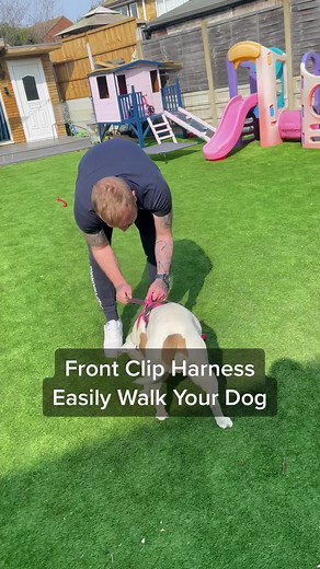 Easily Walk Your Dog with a Front Clip Harness