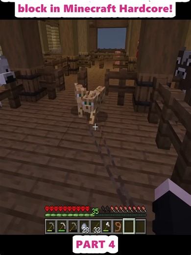 Building a Farm of All Mobs on One Block in Minecraft Hardcore