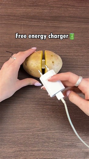 Free Energy Charger
