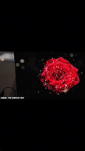 QDEL: 4 Vantagens Que SUPERAM o OLED!