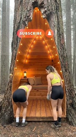 They Carved a Cozy Cabin Inside a Dead Tree Trunk #bushcraft #cabinbuild #diy #satisfying #shorts
