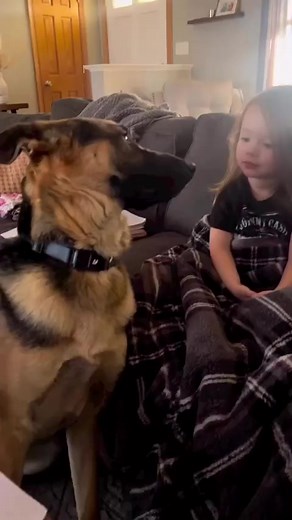 Wolves are some of the most beautiful and amazing creatures alive... ☺️ #reels #reelsvideo #reelsfb #reelsviral #reelsvideo #wolfpack #wolfdog #dog #wolves #dogsofinstagram #wolfs #wolfpack #nature #wolfenstein #wolford #wolfgirl #wolfdogs #wolfgang #love #wolfgangsee #wolfsburg #wolfman #wolfmother #wolfy #wolfies #wolfhybrid #animals #wolfies #wolfcommunity #wolfhard #wolvesofinstagram #wolfdogsofinstagram #WOLFnoi #instawolf | Wolf Lover