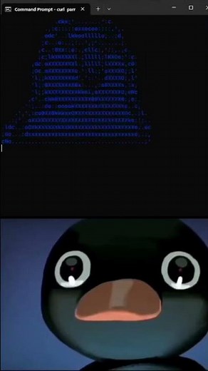 Parrot dance in cmd #ascii #cmd #shorts #ytshorts #hack #parrot #dance #dancing #animation #animals