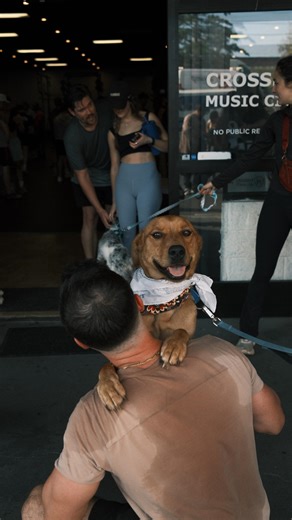 1.3K views · 93 reactions | HOME for Christmas update: MAX Max...