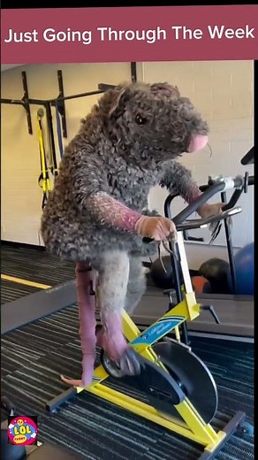 Thursday Memes | Funny Shorts