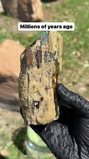 Opal Trove on TikTok