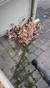 See that moisture under the debris? That’s a roof valley staying wet far longer than it should — perfect conditions for moss, rot, and shortened shingle life. @midwestguttercleaning | Midwest Gutter Cleaning