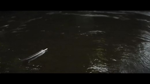 Edge of the World - Official Trailer