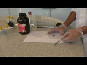 158 THE INFLUENCE OF CATALYST ON THE REACTION SPEED ­H2O2 DECOMPOSITION