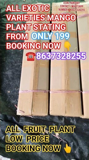 Fruit plant packaging and shipping all over India home delivery service available #fruitplant