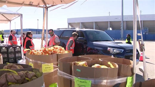Food Bank Opens at Houston NFL Stadium for SNAP Recipients
