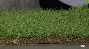 Classic Landscaping: Fall lawn care + the best time and way to lay sod