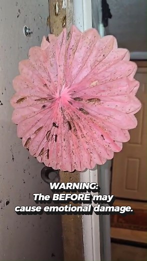 This was one of the worst cockroach infestations we’ve seen but with the right treatment (and a little persistence), we turned it around completely.  No more movement when the lights come on.. ✨  Serving the Eastern Panhandle & surrounding WV areas #PettiPestControl #CockroachInfestation #BeforeAndAfter #WVPestControl #KearneysvilleWV #PestPros #HomeProtection | Petti Pest Control | Facebook