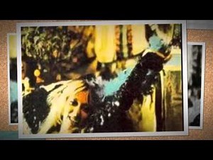 Somethin' Else - Kathi McDonald 1974