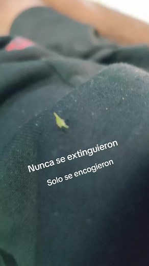 #dinosaur #funnyvideos #fyp #paratiiiiiiiiiiiiiiiiiiiiiiiiiiiiiii #Fyp