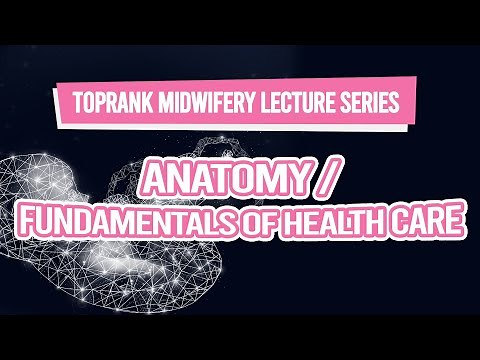 TopRank Midwifery Lecture Series: Anatomy & Fundamentals of Health Care