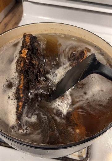 Ball python enclosure build part 1! #ballpython #ballpythonsoftiktok #ballpythonenclosure #bioactiveenclosure #reptilesoftiktok