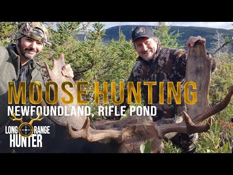 Season 3 Episode 7 : Moose Hunting in Newfoundland, Rifle Pond with Adventure Quest