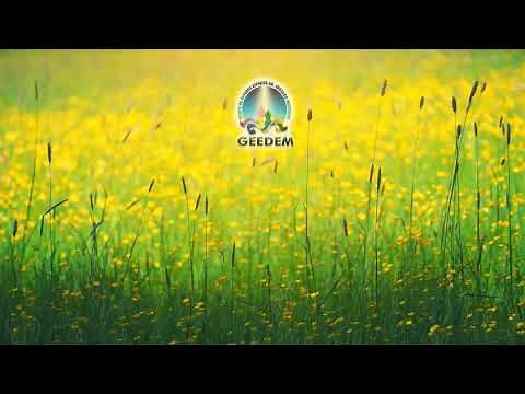 MÚSICAS CLÁSSICAS PARA EVANGELHO NO LAR