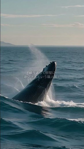 ザトウクジラが「歌う」理由、知ってる？