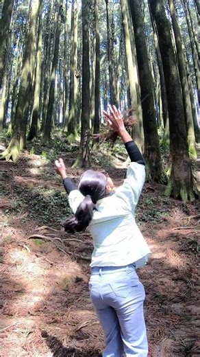 Day 4 of Darjeeling: Lepchajagat Pine tree garden