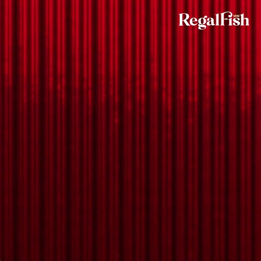 Our advent calendar is back! Enjoy free products and discounts every single day in December. 🎁 | Regal Fish