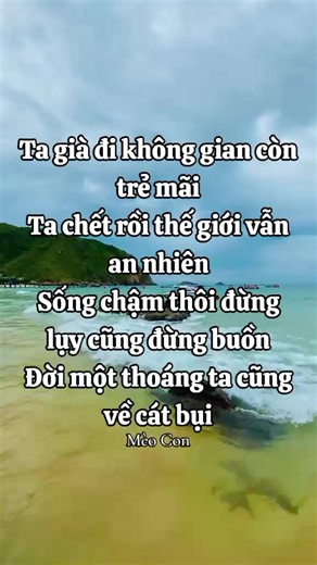 Ta già đi không gian còn trẻ mãi – Lời nhạc “Mèo Con”