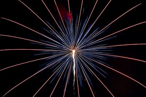 Fireworks: All You Need to Know