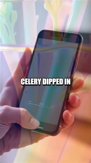 Pocket-Sized Experiments for Curious Minds