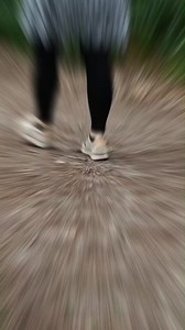 39 reactions | Pet2Me BIOZIP hydratační tělový sprej je čistě přírodního původu.  Je proti komárům, klíšťatům a jinému bodavému hmyzu sajícímu krev. Navíc je pro celou rodinu - i pro děti a pejsky.  https://eshop.pet2me.eu/produkt/pet2me-biozip-proti-komarum/ A co vy, odnesli jste si letos z lesa více než jen houby? ‍ | Pet2me - registr zvířat | Facebook